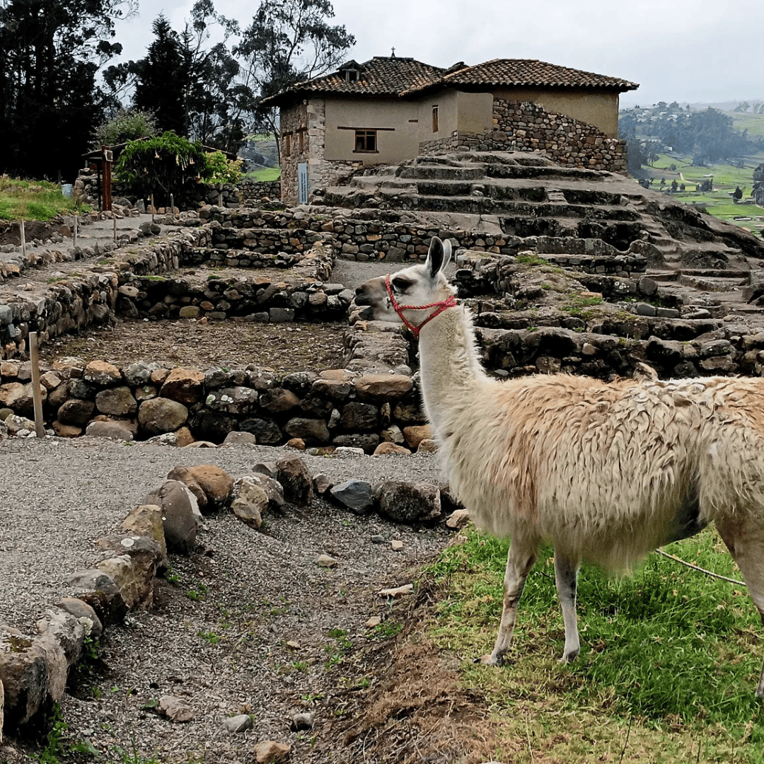 Baños del Inca